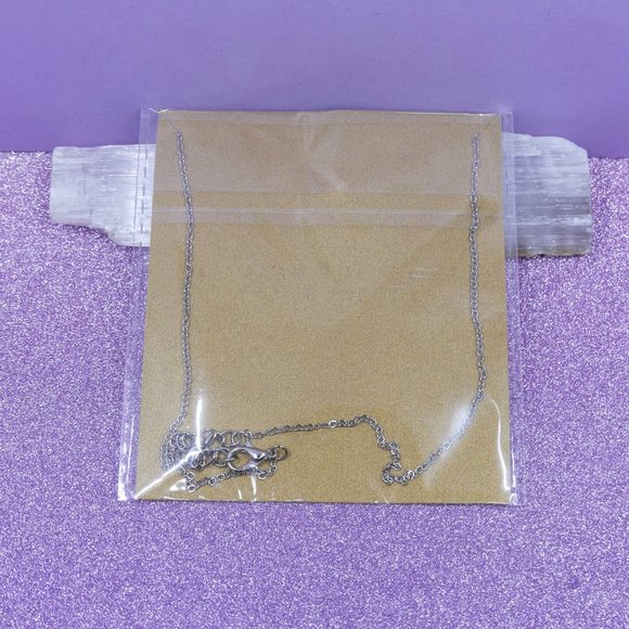 Necklace -  New in Package - Necklace Charm - NWT - Picture 2 of 3